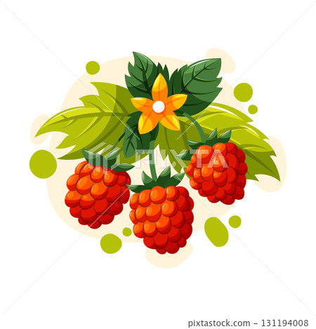 Red raspberries vector illustration with leaves and flower. Cartoon berries for garden, summer harvest, food and healthy lifestyle. 131194008