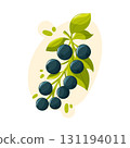 black currant vector illustration with green leaves. Cartoon style for garden harvest, food design and healthy lifestyle. 131194011