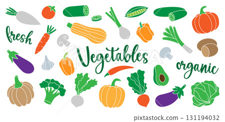 Vegetables. Fresh raw vegetables. Pepper, carrot, tomato, garlic, mushroom, avocado, pumpkin, broccoli, cabbage, turnip, zucchini, radish, eggplant. 131194032
