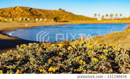 Percheles Beach, Murcia Spain 131196636