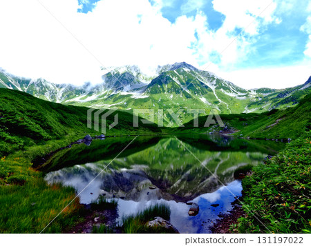 Toyama, Tateyama Kurobe Alpine Route, Tateyama Murododaira, Midorigaike Pond Reflection in Summer 131197022