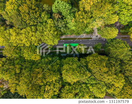 Aerial view of a forest road flanked by lush green trees, with a black car and a green car traveling in opposite directions, plus a sidewalk and narrow waterway alongside. Aerial view of a forest road flanked by lush green trees, with a black car and a green car traveling in opposite directions, plus a sidewalk and narrow waterway alongside. 131197579