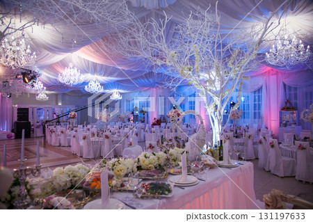 Elegant reception hall decorated for a special event with colorful lighting and white trees 131197633
