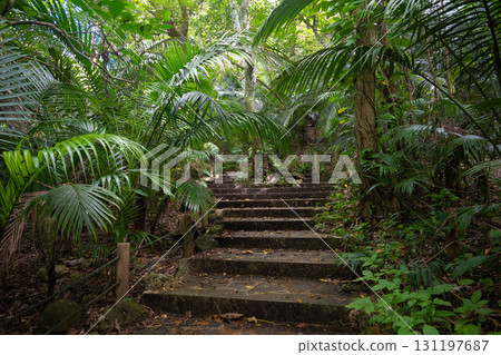 石垣島八重山棕櫚社區 石垣島八重山棕櫚社區 131197687
