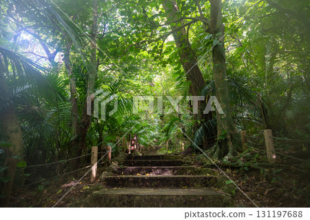 石垣島八重山棕櫚社區 石垣島八重山棕櫚社區 131197688