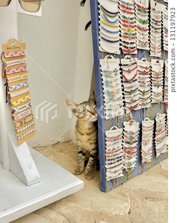 Curious cat exploring a jewelry shop in Djerba, Tunisia 131197923