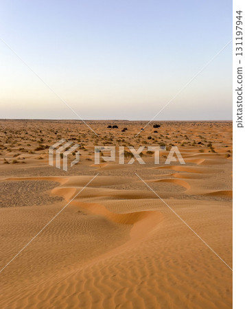 Vast golden dunes of Douz in the Tunisian desert under a clear blue sky 131197944