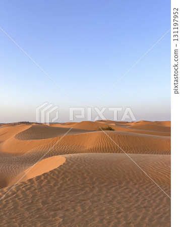 Vast golden dunes of Douz in the Tunisian desert under a clear blue sky Vast golden dunes of Douz in the Tunisian desert under a clear blue sky 131197952