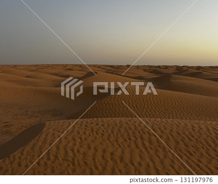 Vast golden dunes of Douz in the Tunisian desert under a clear blue sky Vast golden dunes of Douz in the Tunisian desert under a clear blue sky 131197976