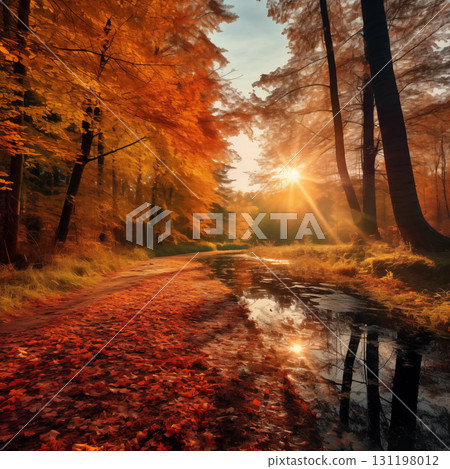 Sunny autumn day in the forest Sunny autumn day in the forest 131198012