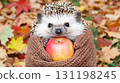 Cute hedgehog carrying apple on back, wearing tiny scarf, looking determined, autumn leaves path 131198245