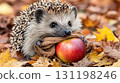 Cute hedgehog carrying apple on back, wearing tiny scarf, looking determined, autumn leaves path 131198246