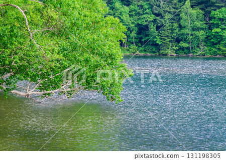 Eastern Hokkaido: Silent Lake Onneto Eastern Hokkaido: Silent Lake Onneto 131198305