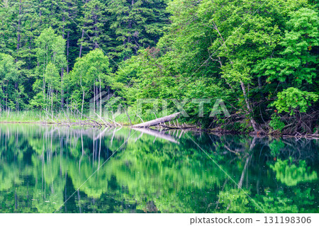 Eastern Hokkaido: Silent Lake Onneto Eastern Hokkaido: Silent Lake Onneto 131198306