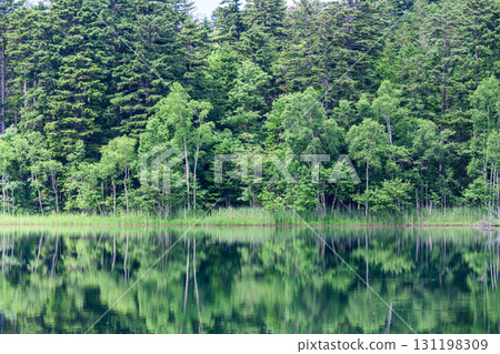 Eastern Hokkaido: Silent Lake Onneto Eastern Hokkaido: Silent Lake Onneto 131198309