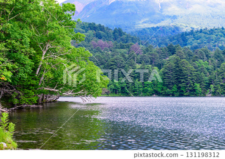 Eastern Hokkaido: Silent Lake Onneto 131198312