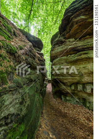 Beautiful green forest Hiking path with Sandstone chalk rock formations in Berdorf Mullerthal Luxembourg 131198561