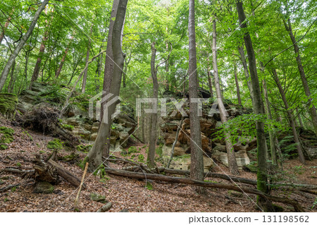 Beautiful green forest Hiking path with Sandstone chalk rock formations in Berdorf Mullerthal Luxembourg 131198562