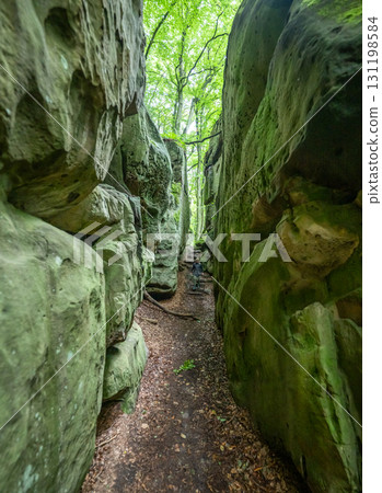 Beautiful green forest Hiking path with Sandstone chalk rock formations in Berdorf Mullerthal Luxembourg 131198584