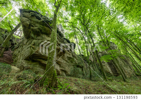 Beautiful green forest Hiking path with Sandstone chalk rock formations in Berdorf Mullerthal Luxembourg 131198593