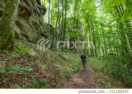 Beautiful green forest Hiking path with Sandstone chalk rock formations in Berdorf Mullerthal Luxembourg Beautiful green forest Hiking path with Sandstone chalk rock formations in Berdorf Mullerthal Luxembourg 131198597