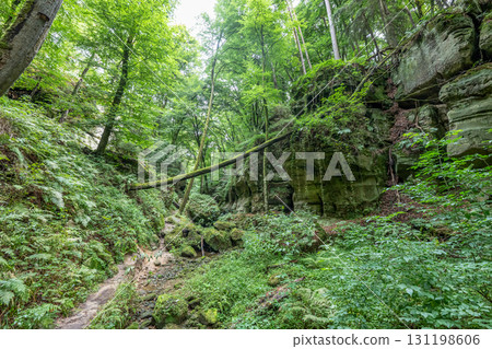 Beautiful green forest Hiking path with Sandstone chalk rock formations in Berdorf Mullerthal Luxembourg 131198606