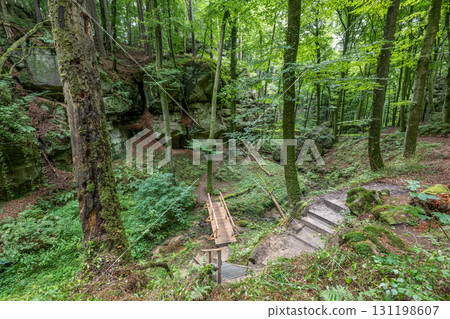 Beautiful green forest Hiking path with Sandstone chalk rock formations in Berdorf Mullerthal Luxembourg 131198607