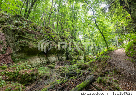 Beautiful green forest Hiking path with Sandstone chalk rock formations in Berdorf Mullerthal Luxembourg Beautiful green forest Hiking path with Sandstone chalk rock formations in Berdorf Mullerthal Luxembourg 131198625