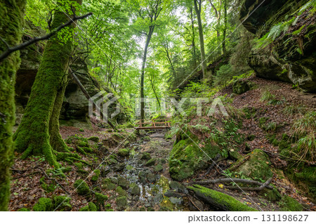 Beautiful green forest Hiking path with Sandstone chalk rock formations in Berdorf Mullerthal Luxembourg Beautiful green forest Hiking path with Sandstone chalk rock formations in Berdorf Mullerthal Luxembourg 131198627