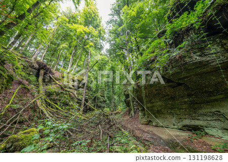 Beautiful green forest Hiking path with Sandstone chalk rock formations in Berdorf Mullerthal Luxembourg Beautiful green forest Hiking path with Sandstone chalk rock formations in Berdorf Mullerthal Luxembourg 131198628