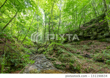Beautiful green forest Hiking path with Sandstone chalk rock formations in Berdorf Mullerthal Luxembourg 131198634