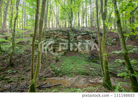 Beautiful green forest Hiking path with Sandstone chalk rock formations in Berdorf Mullerthal Luxembourg 131198683