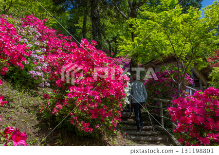 Daikozenji Temple - The Temple of Azaleas 131198801