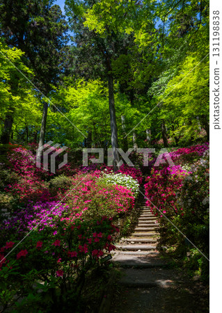 Daikozenji Temple - The Temple of Azaleas Daikozenji Temple - The Temple of Azaleas 131198838