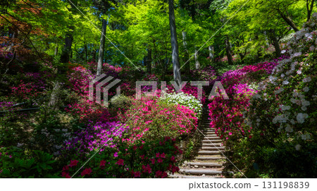 Daikozenji Temple - The Temple of Azaleas 131198839