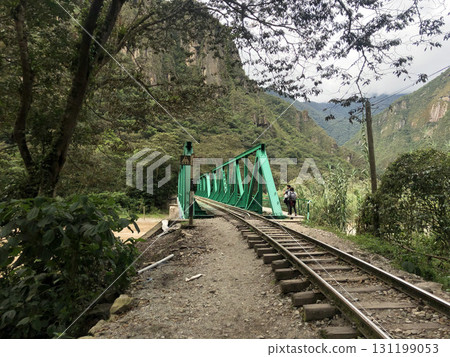 Basking in the morning sun amidst the fresh greenery 131199053