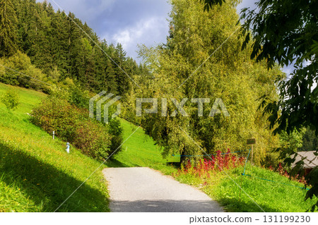 Santa Maddalena hiking path, Dolomites, Italy 131199230