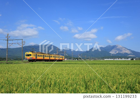 [山義鐵道]101系和藤原山（山義線：入川～三里） 131199233