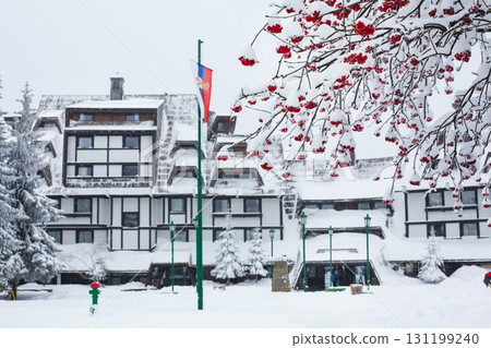 red rowan berry and street of ski resort Kopaonik, Serbia after snow red rowan berry and street of ski resort Kopaonik, Serbia after snow 131199240