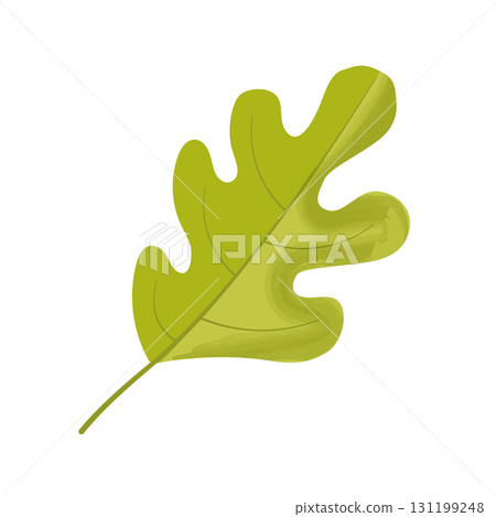 colorful green oak leaf icon 131199248