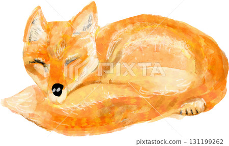 Hokkaido red fox illustration Hokkaido red fox illustration 131199262