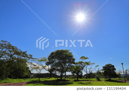 藍天、陽光、公園 藍天、陽光、公園 131199404
