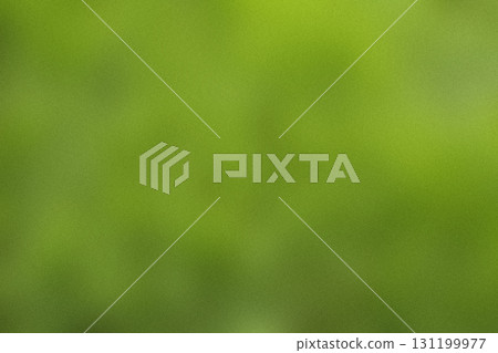 Green Blur Abstract Background for Nature-Inspired Design and Visual Projects Green Blur Abstract Background for Nature-Inspired Design and Visual Projects 131199977
