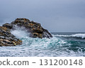 【#高知】海浪拍打在桂濱的岩石上 131200148