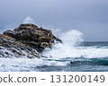 【#高知】海浪拍打在桂濱的岩石上 131200149