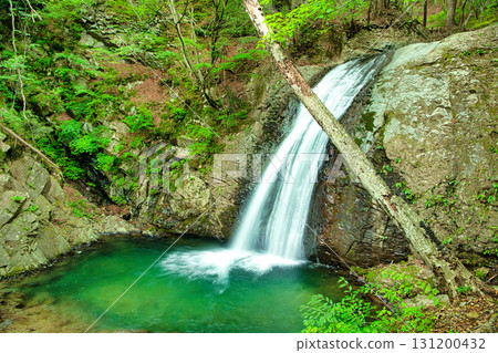 Taikoshita Falls, flowing along the Nikko Momiji Line in Nikko City, Tochigi Prefecture Taikoshita Falls, flowing along the Nikko Momiji Line in Nikko City, Tochigi Prefecture 131200432