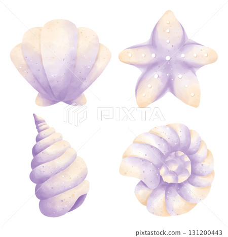 watercolor set of sea shells 131200443