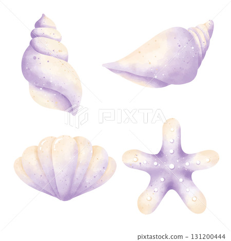 watercolor set of sea shells watercolor set of sea shells 131200444