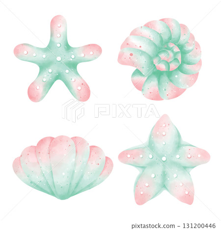 watercolor set of sea shells watercolor set of sea shells 131200446
