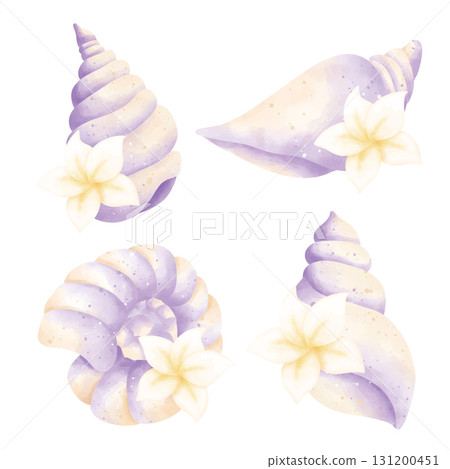 watercolor set of sea shells watercolor set of sea shells 131200451
